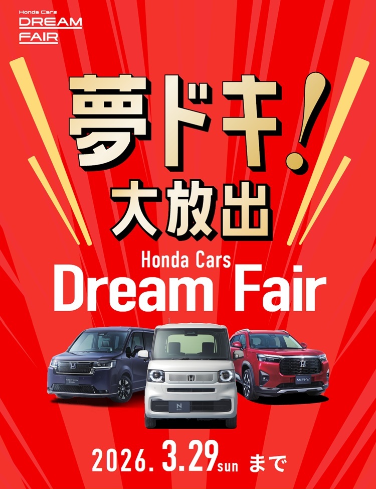 Dream Fair